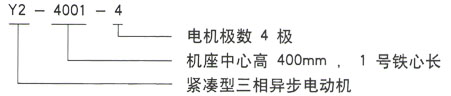 泰富西瑪Y系列三相異步電機(jī)型號說明